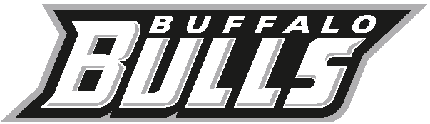 Buffalo Bulls 2007-Pres Wordmark Logo diy iron on heat transfer